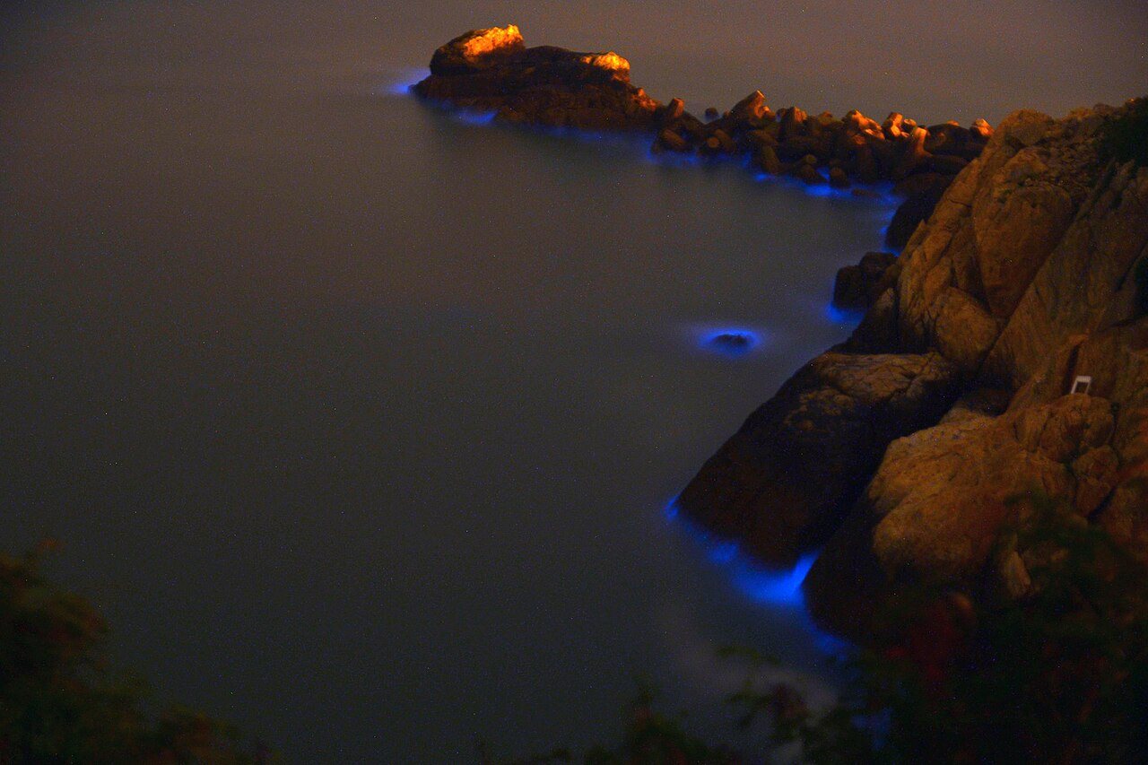 Blue light glowing in the water along the rocky shore of the Matsu Islands, where it is called blue tears.