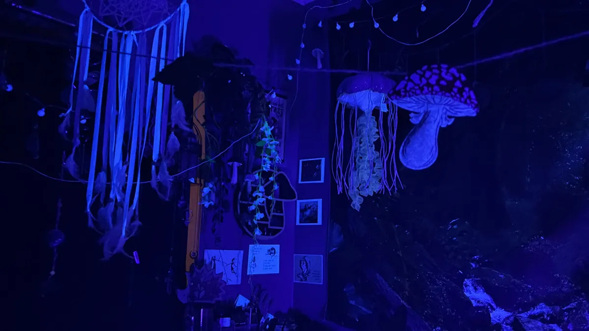 A dreamcatcher, a jellyfish lamp and a spotted toadstool lamp hang in a room lit blue.