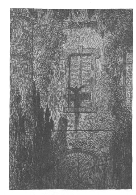 A dark stone wall with a latticed window in it, and across the whole wall the shadow of a bird with its wings spread.